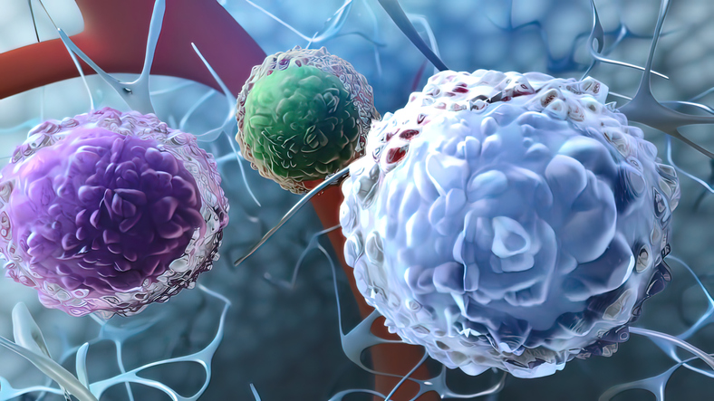 ECHELON-1 lymphoma